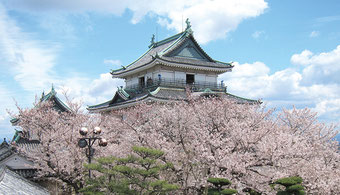 写真提供：（公社）和歌山県観光連盟