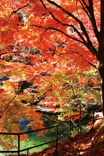 写真提供：一般社団法人みなかみ町観光協会