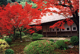 ©佐賀県観光連盟