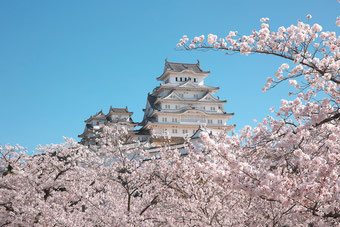 提供：姫路市