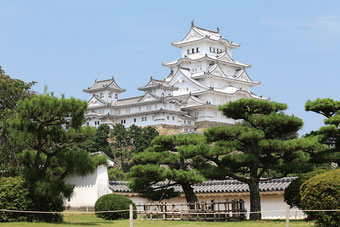 提供：姫路市