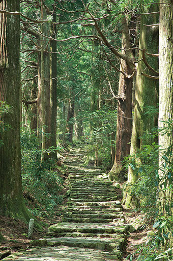写真提供：公益社団法人 和歌山県観光連盟