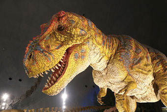 提供：福井県立恐竜博物館