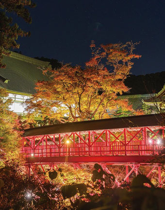 画像提供 方広寺