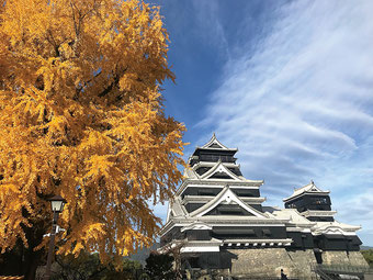 写真提供:熊本城総合事務所