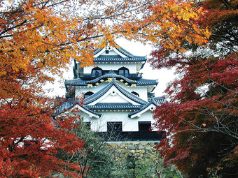 (公社)びわこビジターズビューロー