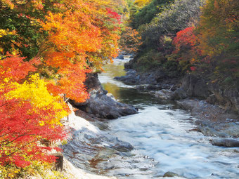 写真提供：観光ぐんま写真館