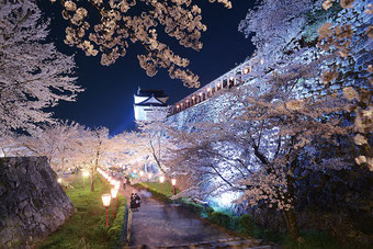 提供：（公社） 津山市観光協会