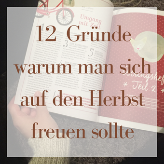 Titelbild: 12 Gründe warum man sich auf den herbst freuen sollte