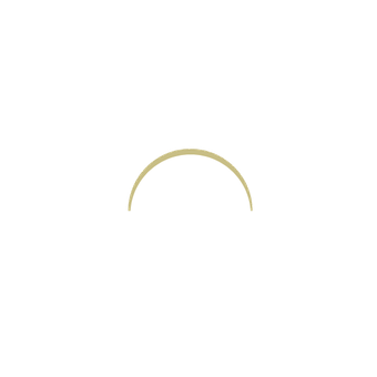 Angi Roth