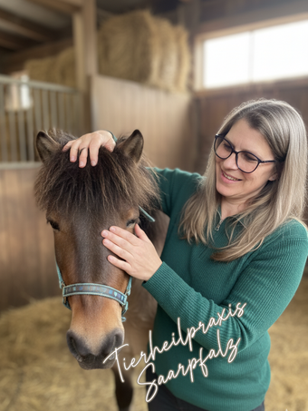 Craniosacrale Rhythmen Ganzheitliche Behandlung Schädel und Kreuzbein Liquorfluss Blockadenlösung Funktionsstörungen Selbstheilungskräfte Sanfte Berührungen Verspannte Muskeln Entspannungstechniken Unwinding-Technik Bewegungsapparat Emotionale Ausgegliche