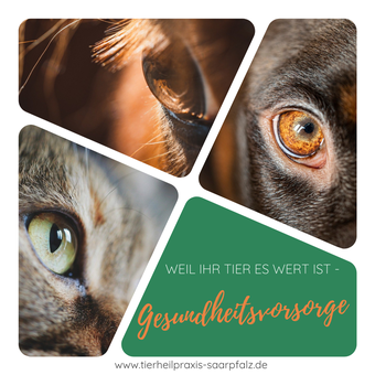 Tiergesundheit Präventivmedizin Tierernährung Impfungen Parasitenkontrolle Zahnhygiene Altersvorsorge Gewichtsmanagement Bewegungstherapie Verhaltenstherapie Naturheilkunde Phytotherapie Homöopathie Aromatherapie Mikronährstofftherapie Orthopädische Gesun