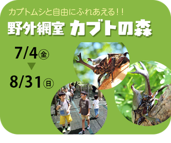 野外網室「カブトの森」