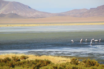 Lagune du Salar de Tara