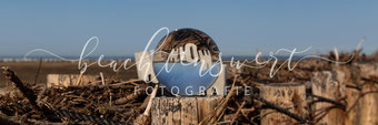 beachtenswert fotografie, Fotokunst, Landschaft, Nordstrand, Fuhlehörn, Vogelschutzgebiet, Nordfriesland, Glaskugel