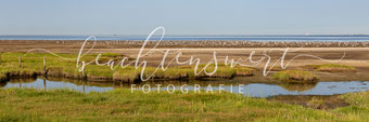 beachtenswert fotografie, Fotokunst, Landschaft, Vogelschutzgebiet, Nordfriesland, Nordstrand, Fuhlehörn