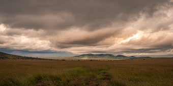 Masai Mara in front of a thunderstorm