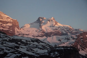 Gross Schärhorn, Skitour, Klausenpass, Chammlialp, Griessgletscher, Chammlilücke, Nordflanke