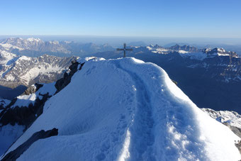 Gross Schärhorn, Skitour, Klausenpass, Chammlialp, Griessgletscher, Chammlilücke, Nordflanke, Gipfelgrat