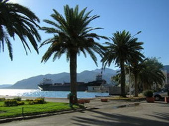 Avenue with palm trees looking at the harbour