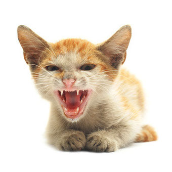 Bildquelle: Fotolia.com