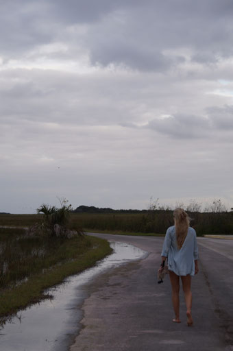 Shark Valley Everglades Florida