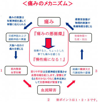 痛みのメカニズム