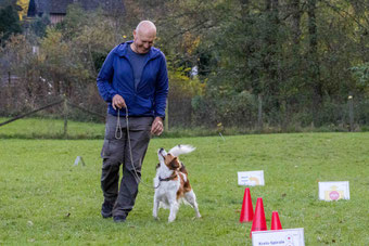 Mann in blauer Jacke führt Hund an kurzer Leine auf einer Wiese mit Trainingshütchen und Schildern.