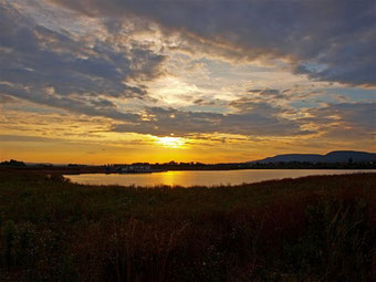 Sonnenuntergang über der Auenlandschaft. - Foto: Kathy Büscher