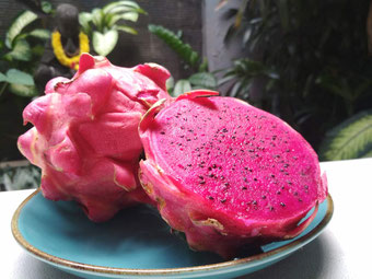 Frutta Tropicale: Dragon Fruit