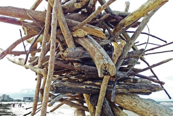 A beach-debris sculpture at Palm Beach