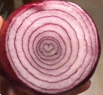 zwiebel in der hälfte halbiert man sieht die schichten und ein herz in der mitte