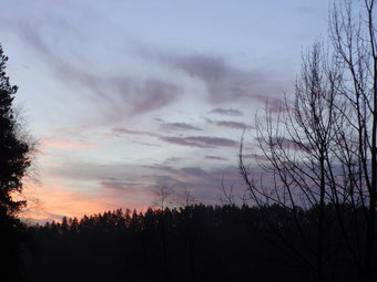 Auf dem heutigen Morgenspaziergang, ... ohne Schnee und Frost.
