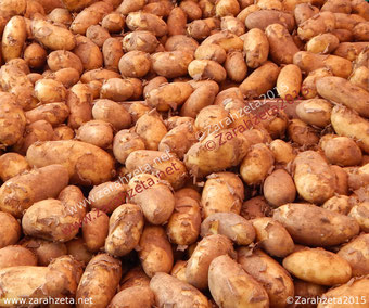 Frische Kartoffeln