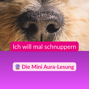 Die Mini Aura-Lesung schenkt Dir Klarheit über Deine aktuellen Blockaden und Dein Entwicklungspotential