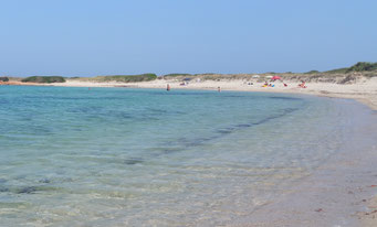 Möglichkeit für Urlaub mit Hund am Strand in Apulien