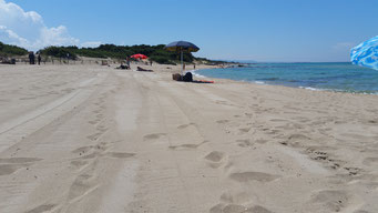 Urlaub mit Hund am Strand wie hier im Ferienhaus mieten in Apulien