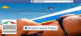 pagina FACEBOOK