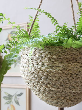 Blumenkorb hängend aus Seegras Boho-Urban-Stil