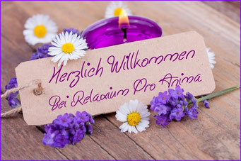 Praxis für alternative Heilmethoden,  Reiki-Praxis, Praxis für Quantenheilung, Praxis für 2-Punkt Methode, Praxis  für Reiki-Anwendungen, Praxis für Quantenheilung Wedemark, #Reiki, #Quantenheilung, #Schamanismus