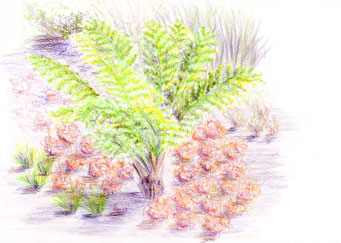 Créer un massif - Dessiner