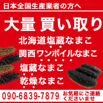 北海道産ナマコ専用 化粧箱・ギフト箱 - 北海道乾燥ナマコ|関西 北海道産ナマコ専用 化粧箱・ギフト箱 - 北海道乾燥ナマコ|関西