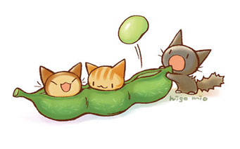 まめまめねこねこ？ - mmneko ページ！