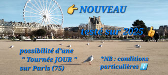 nouvelle Tournée 'JOUR' N'anima Cuir