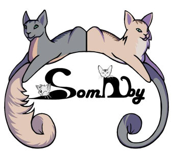 www.somabyclub.com