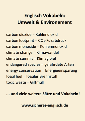Englisch Vokabeln Environment