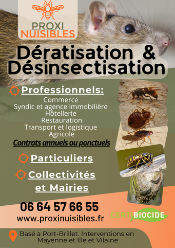 Destruction de nids de guêpes, nids de frelons et dératisation sur la Mayenne et l'Ille et Vilaine. Faites appel à un désinsectiseur et dératiseur professionnel pour vos problèmes de nuisibles.