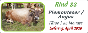 Rind 83 | Piemonteser/Angus, Färse
