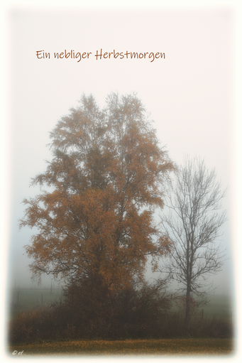 Ein nebliger Herbstmorgen