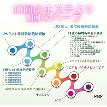 リアボーテ　ハーブトリートメント